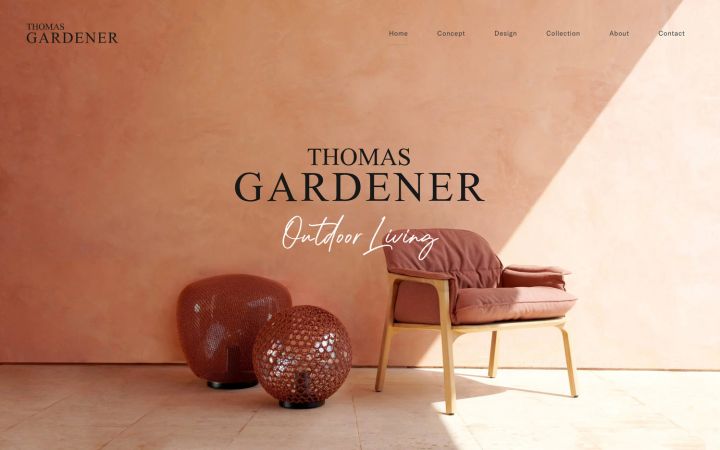 Webdesign Website Layout TG Startseite